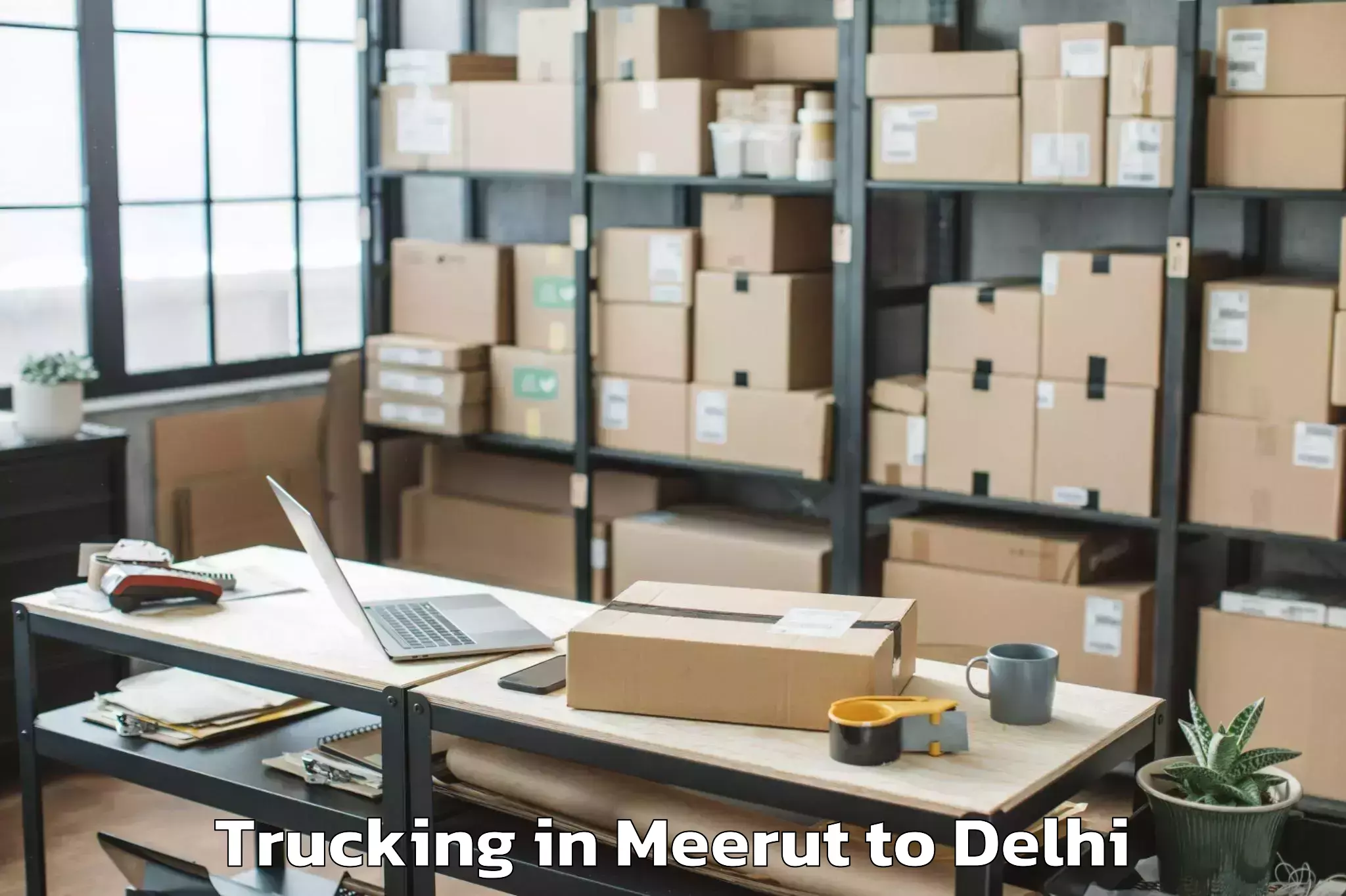 Quality Meerut to Ansal Crown Plaza Mall Trucking